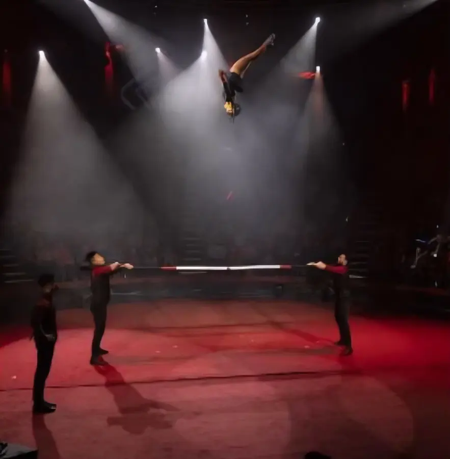 Circus Shows, photo 4
