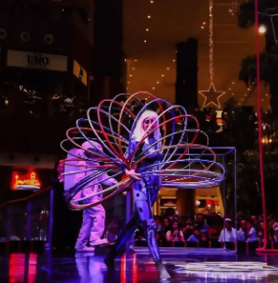 Circus Shows, photo 6